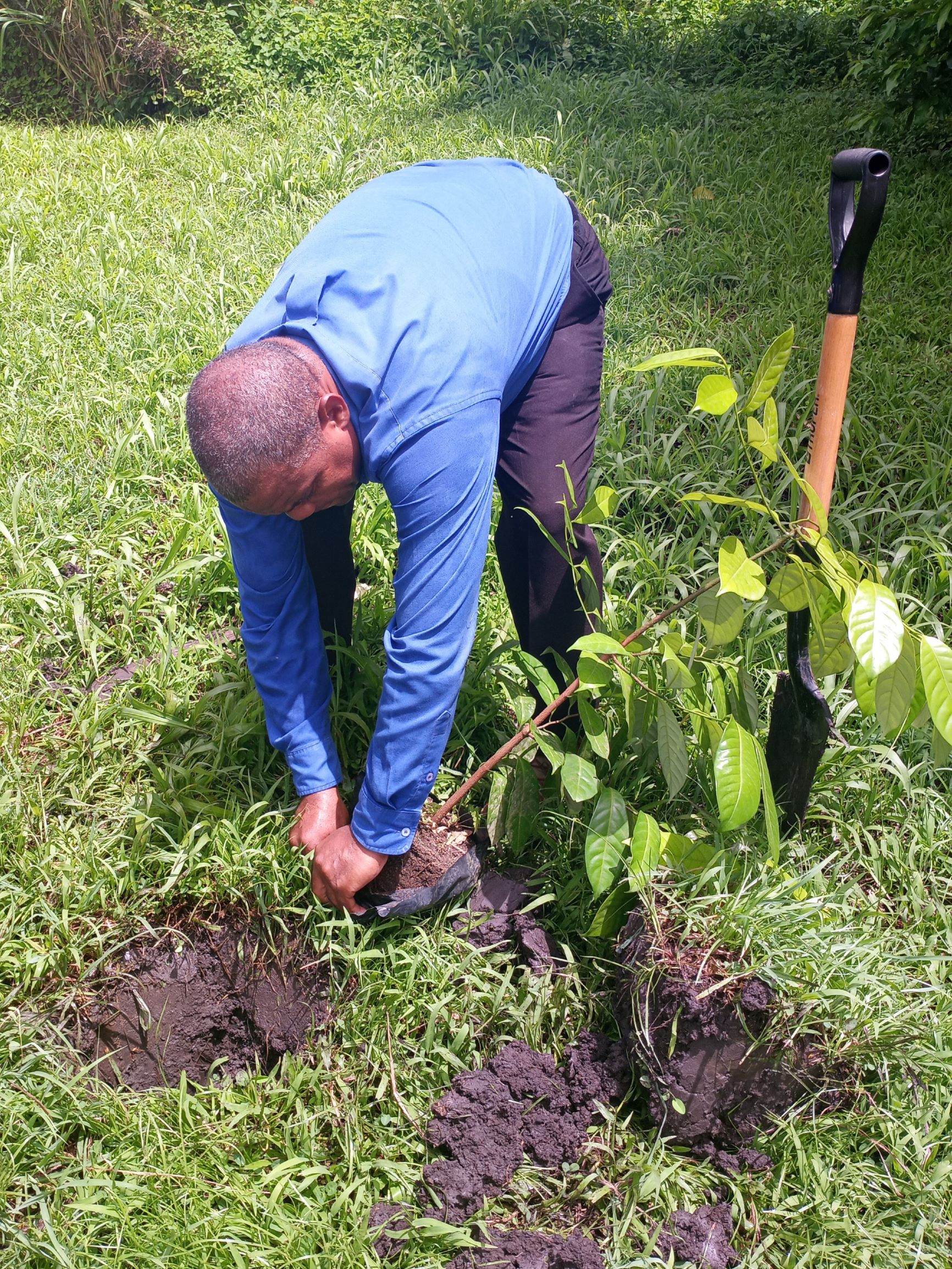 Tree Planting Activity at South St. George Gov’t School in Observance of International Day of Co-operatives 2021