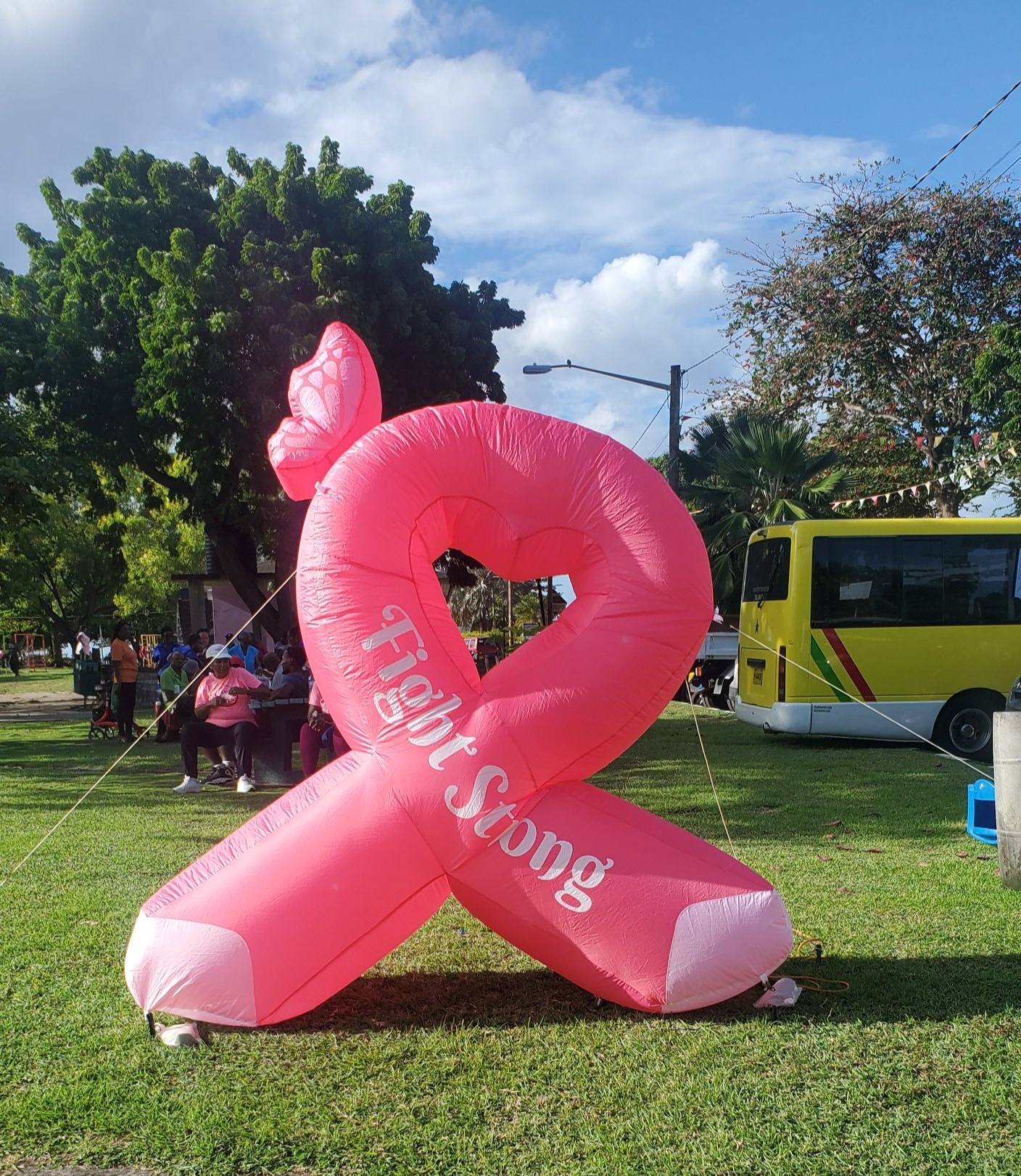Pink Ribbon Society Breast Cancer Walk 2025